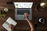 url seo guide