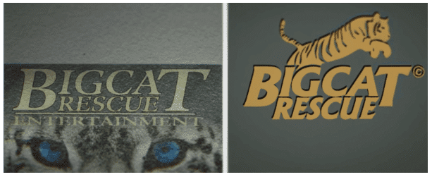 Bigcat Logos