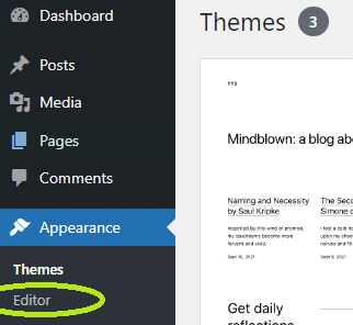 Screenshot of site editor