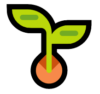 SEO Package - Springboard